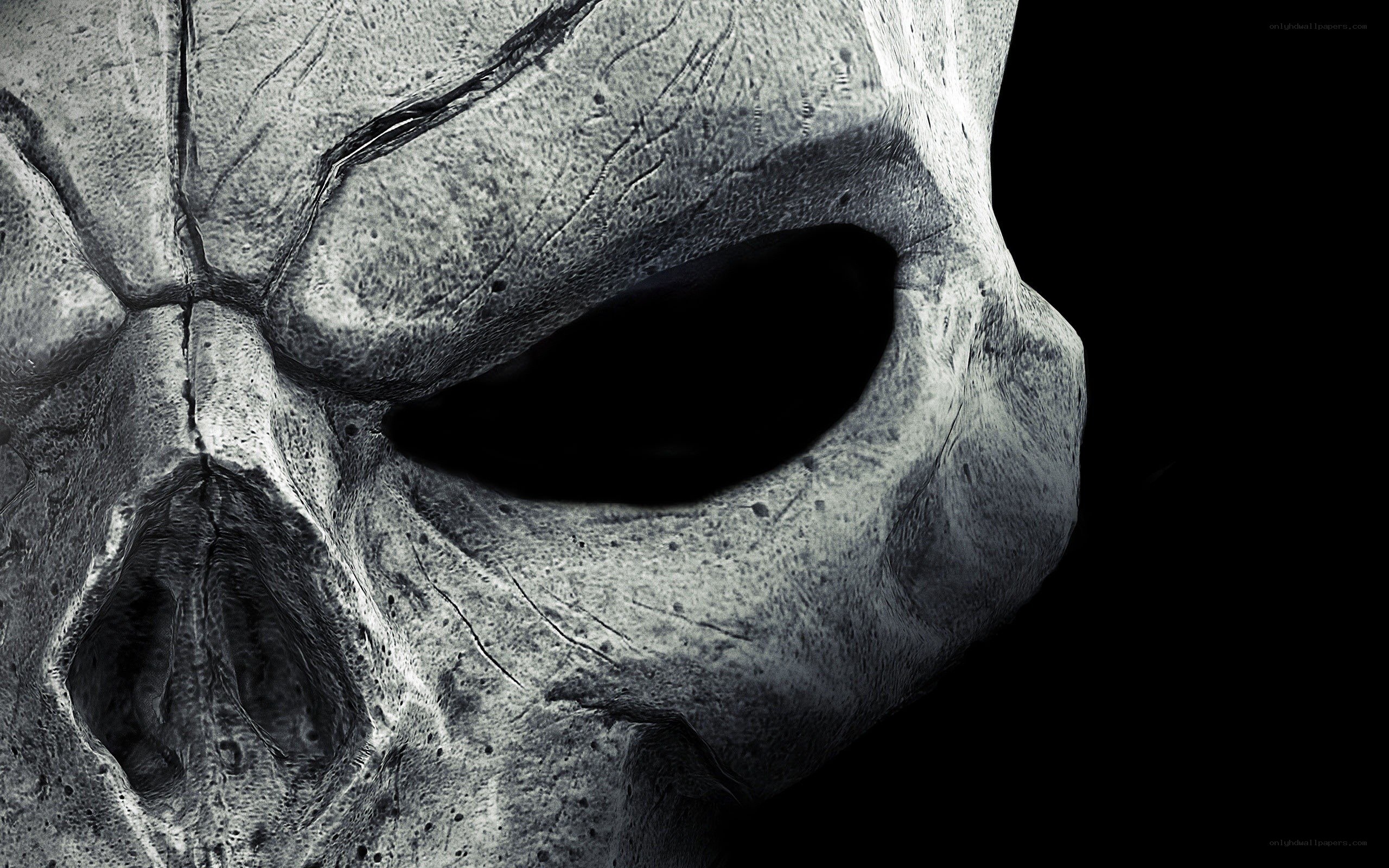 stone skull close-up