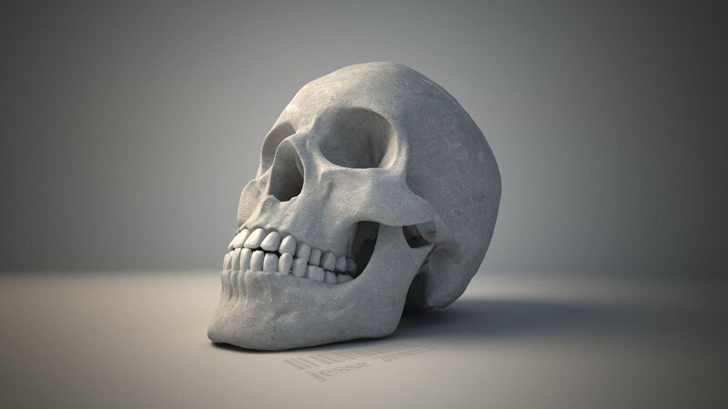 Stone Skull Model — Gray