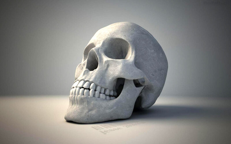Stone Skull Model