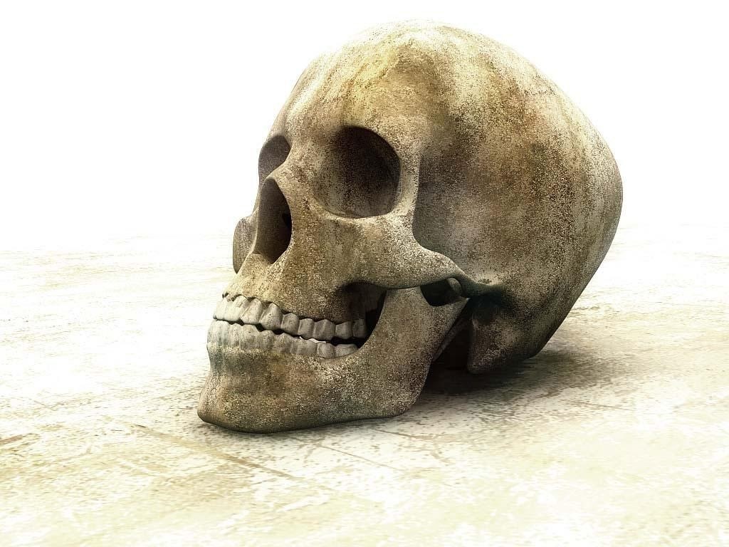 stone skull on white surface