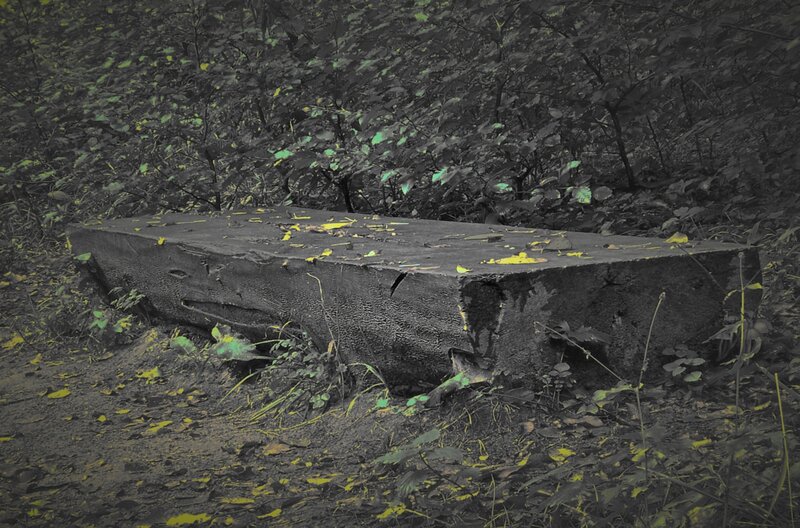stone slab in forest
