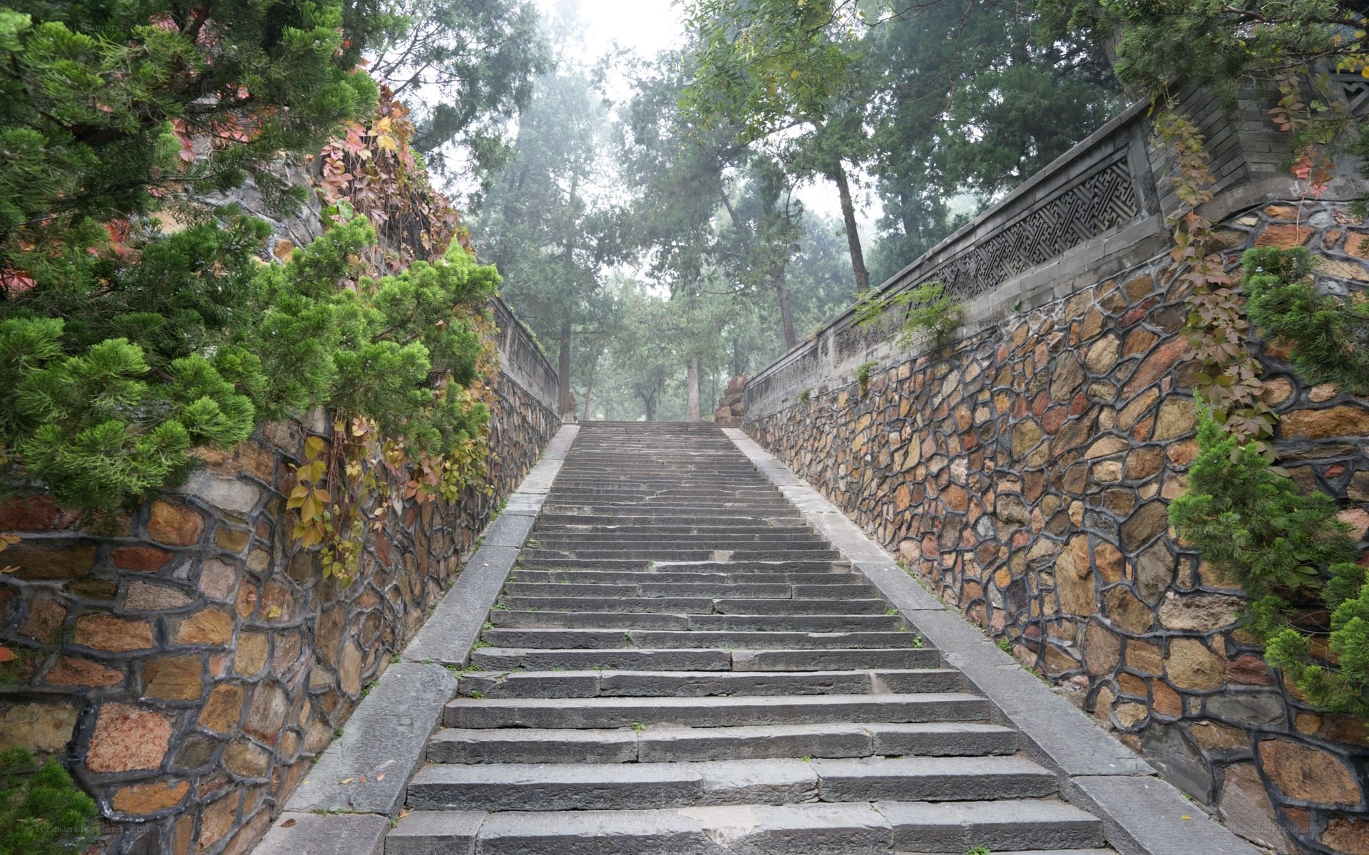 Stone staircase in a misty garden