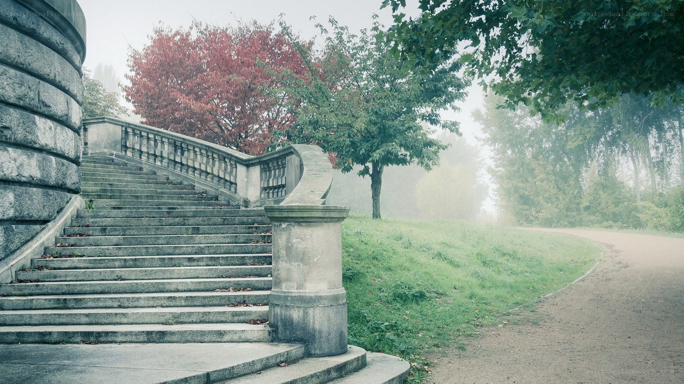 Stone staircase in a misty park
