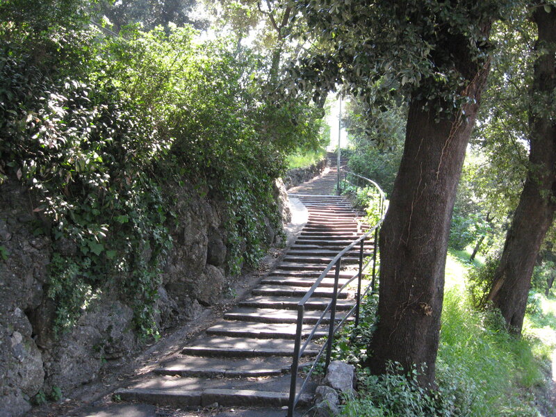 Stone Staircase in Forest — Green
