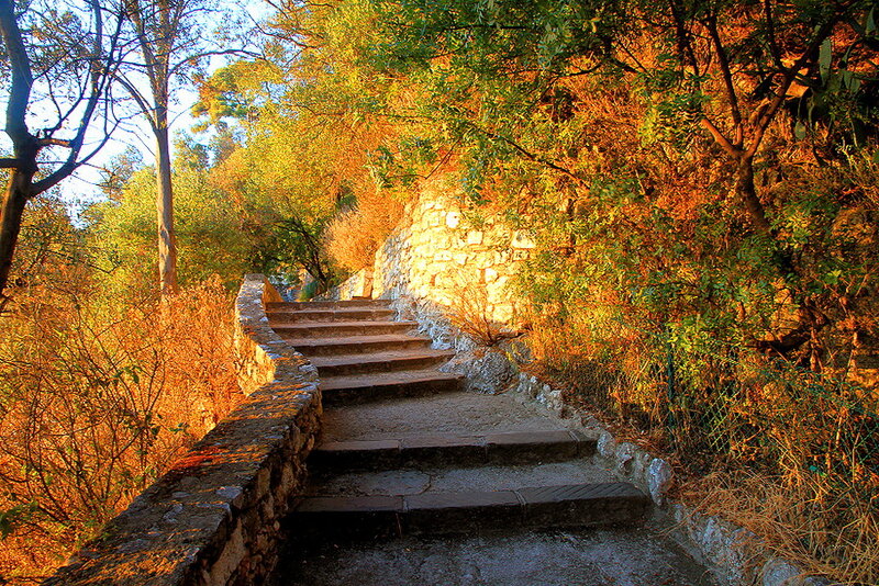 Stone Staircase in Forest