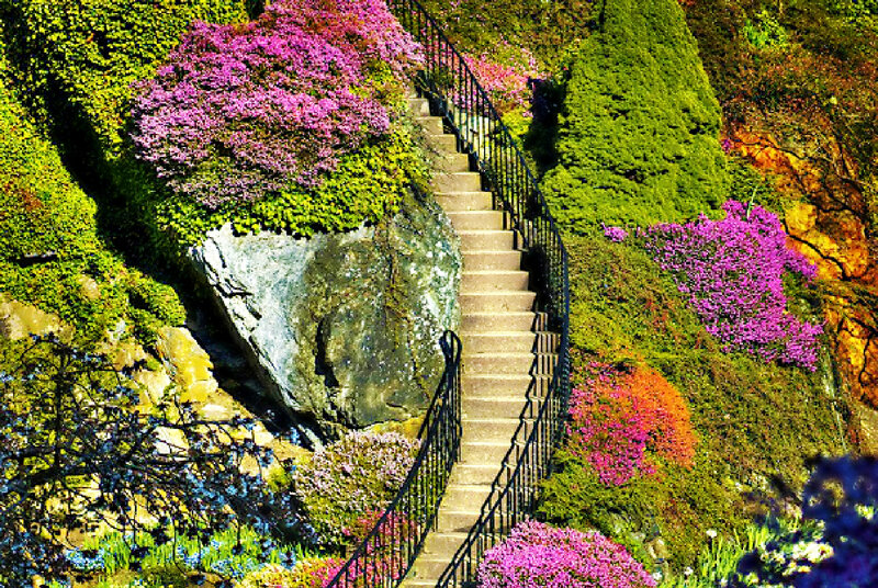 Stone Staircase in Garden — Green, Serene, Spring