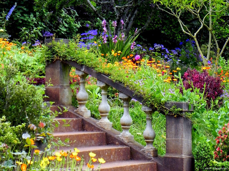 Stone Staircase in Garden — Green, Serene, Summer