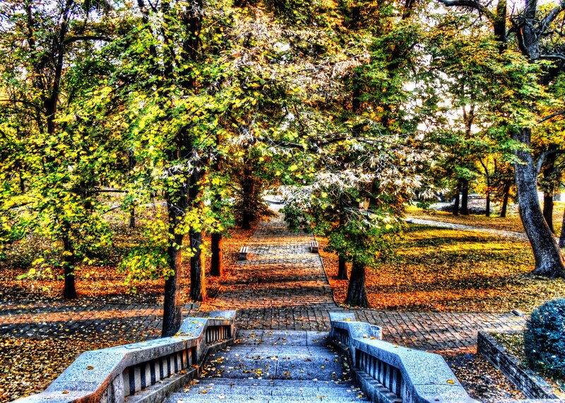 Stone Staircase in Park — Green
