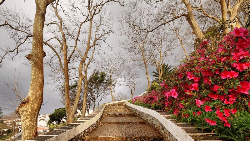 Stone Staircase with Flowers — Pink, Dramatic