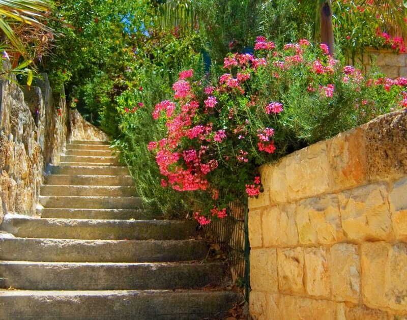 Stone Staircase with Flowers — Pink