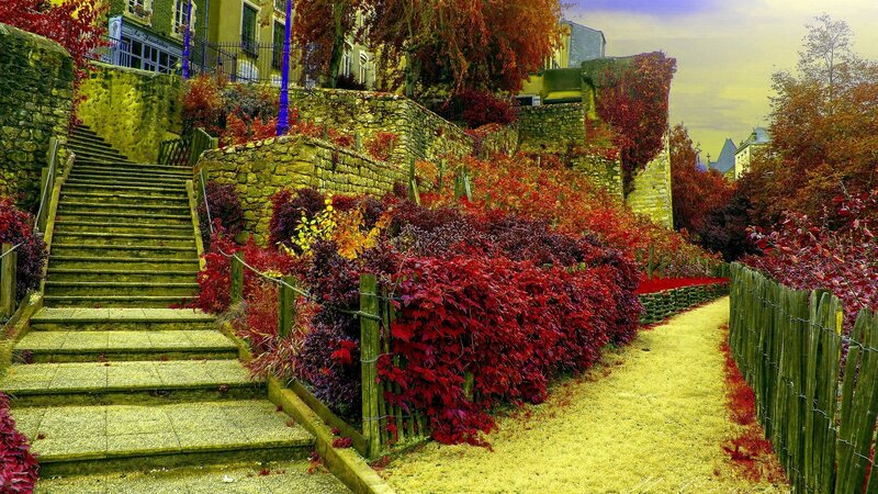 Stone Stairs and Autumn Foliage — Red