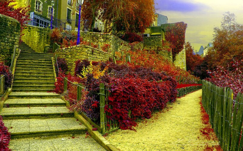 Stone Stairs and Autumn Foliage
