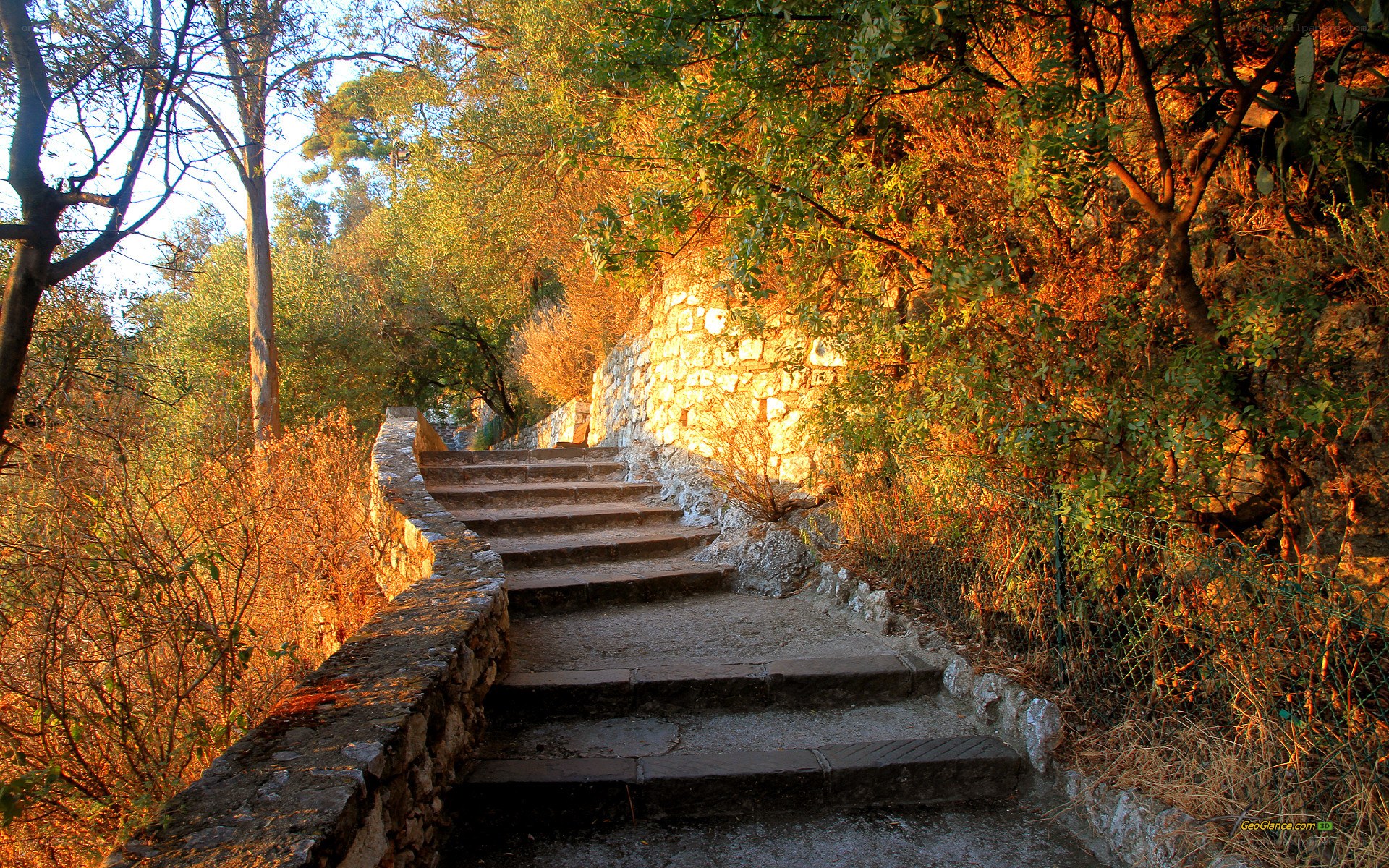 Stone stairs in a forest