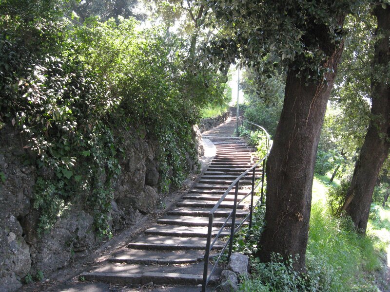 Stone stairs in a forested park