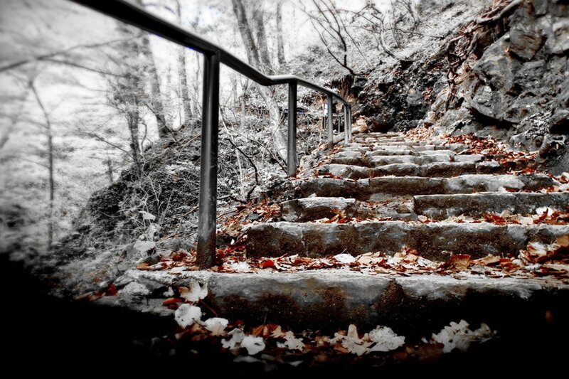 Stone Stairs in Forest — Gray