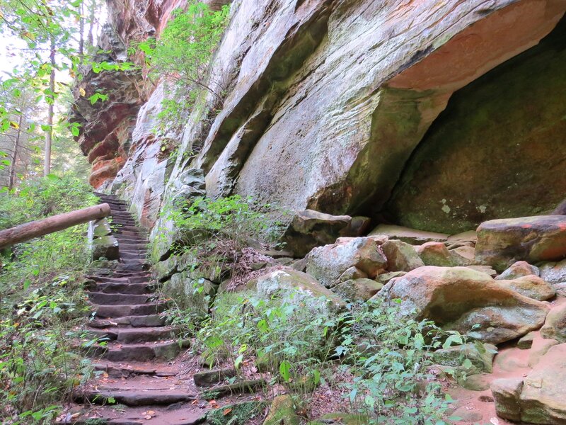 Stone Stairs in Forest — Green, Natural