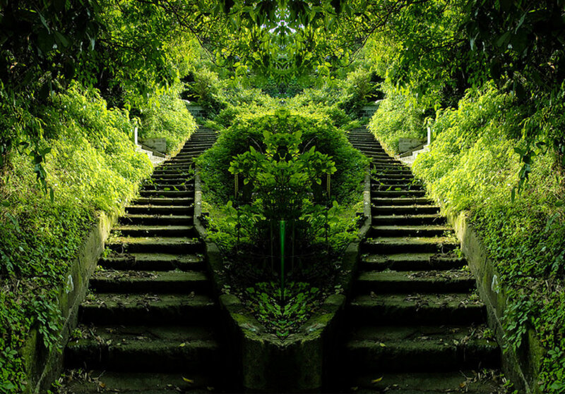 Stone Stairs in Forest — Green, Serene, Afternoon, Photograph