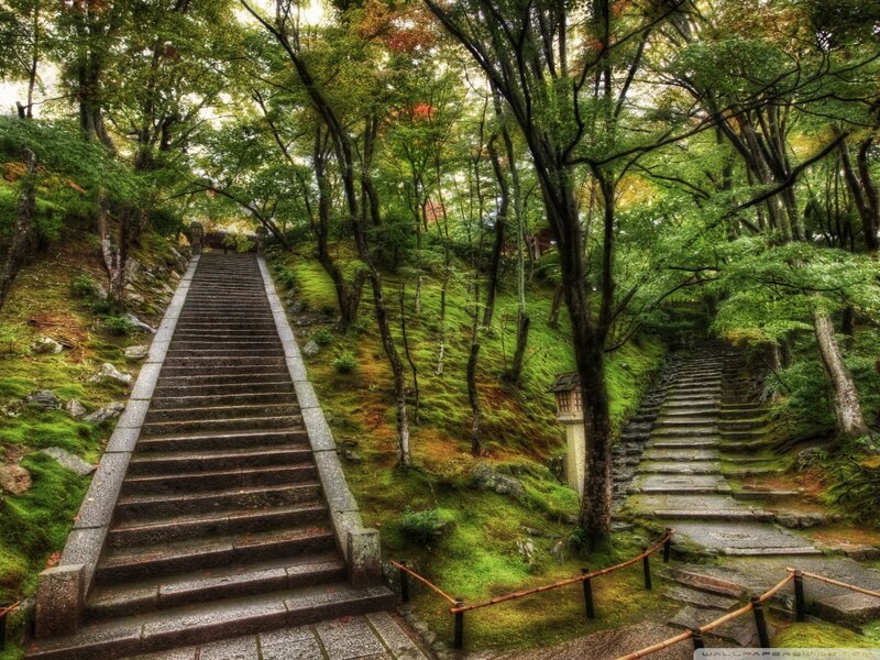 Stone Stairs in Forest — Green, Serene, Autumn