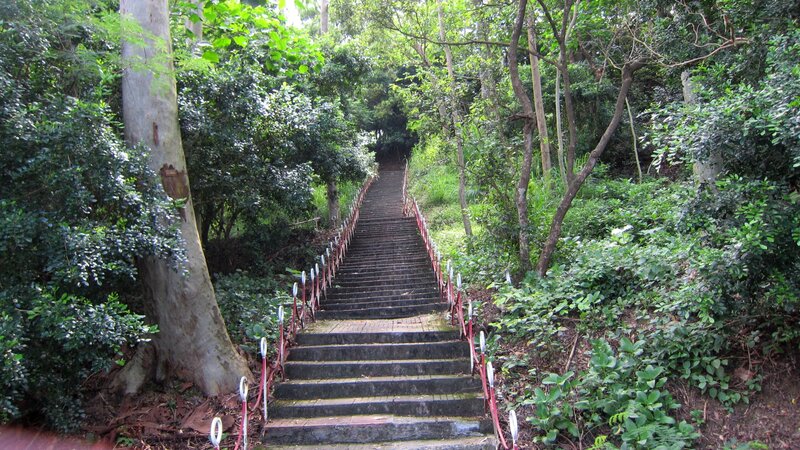 Stone Stairs in Forest — Green, Serene
