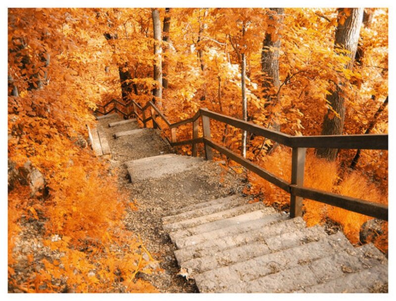 Stone Stairs in Forest — Orange