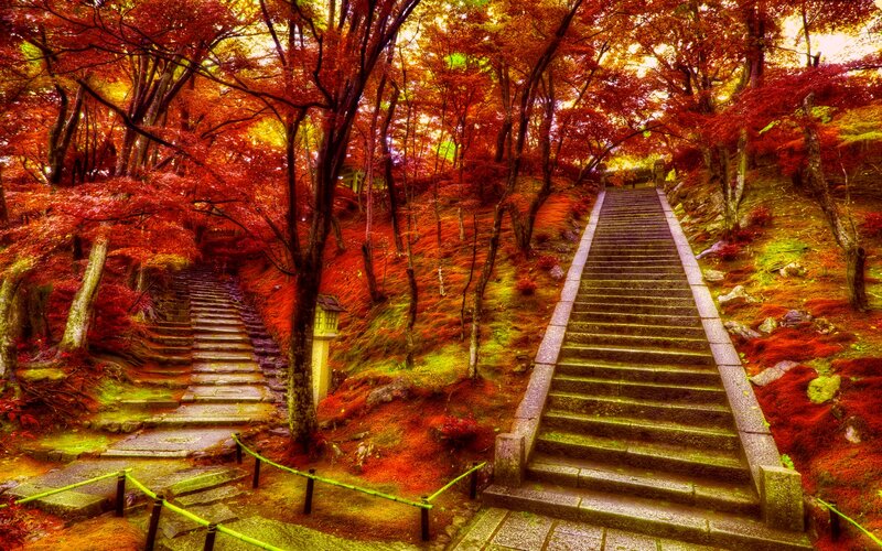 Stone Stairs in Forest — Red