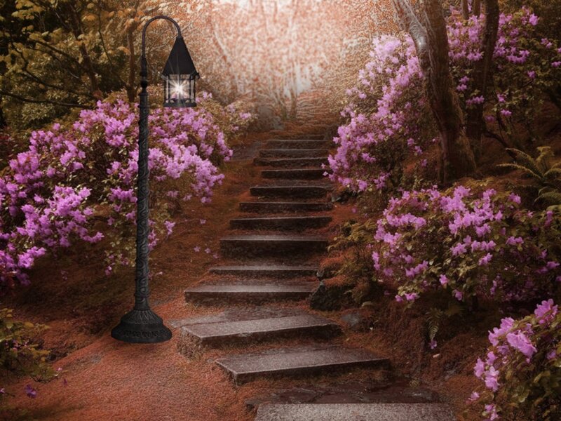 Stone Stairs in Garden — Purple
