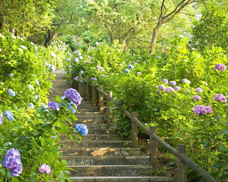 Stone Stairs in Garden