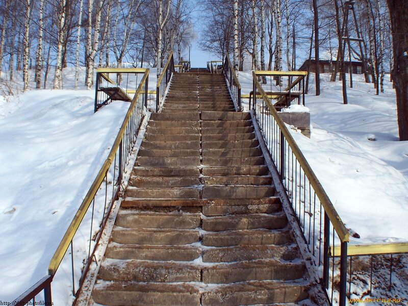 Stone stairs in snowy forest