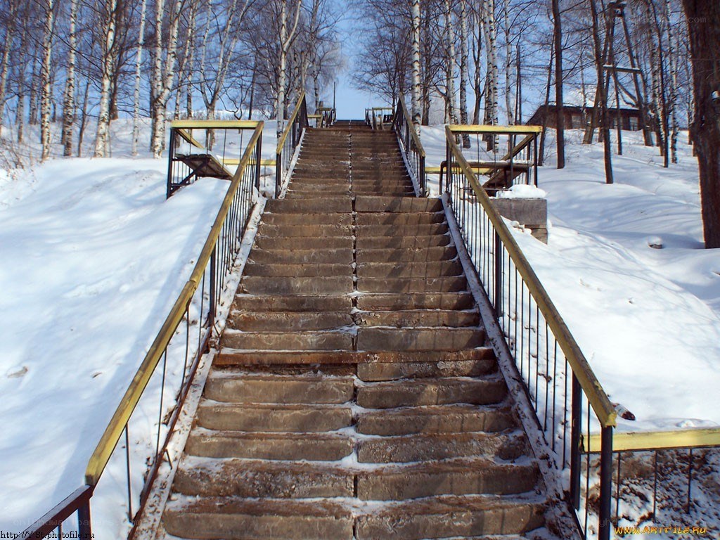 Stone stairs in snowy forest