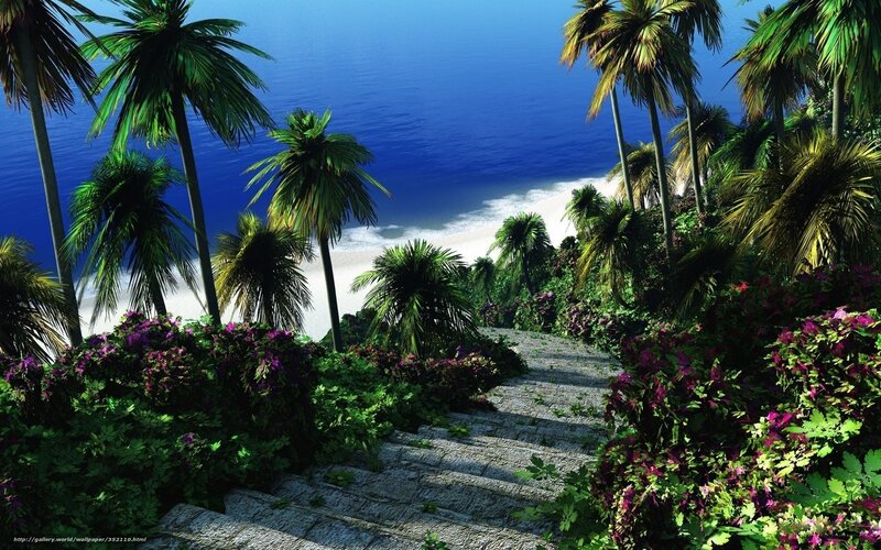 Stone Stairs to Beach — Blue