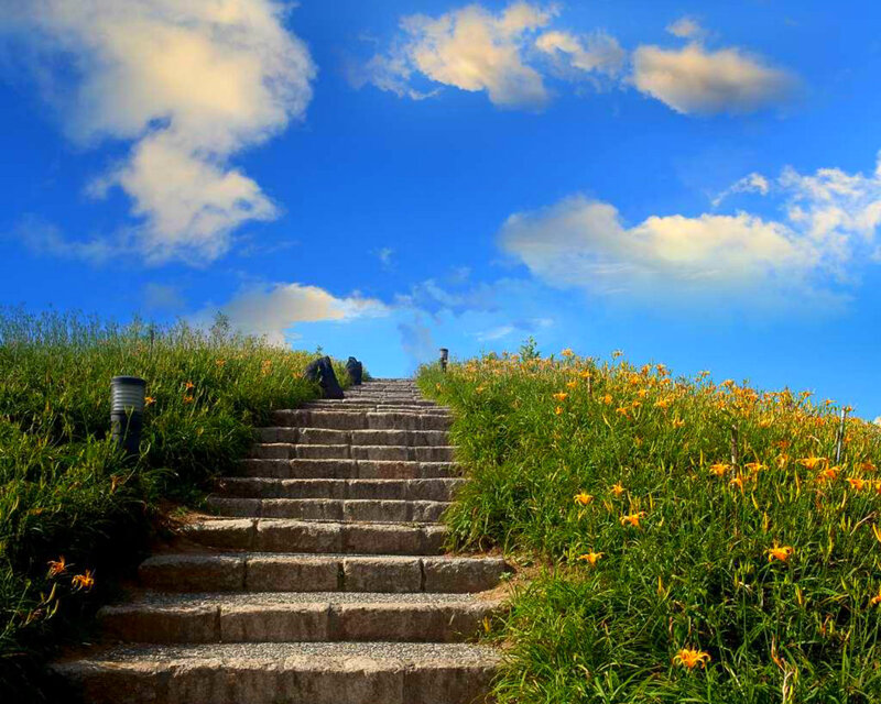 Stone Stairs with Flowers — Blue
