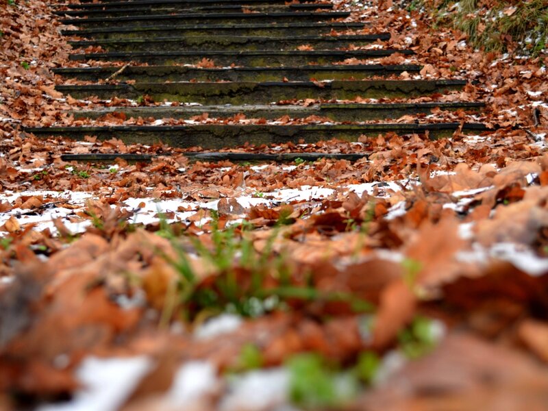 Stone Stairs with Leaves — Brown
