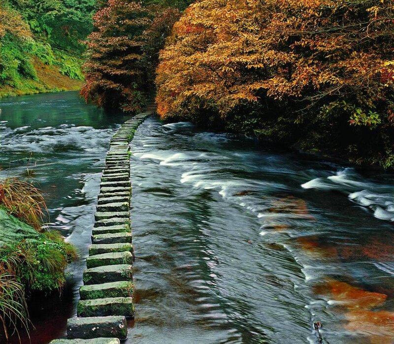 Stone Stepping Stones