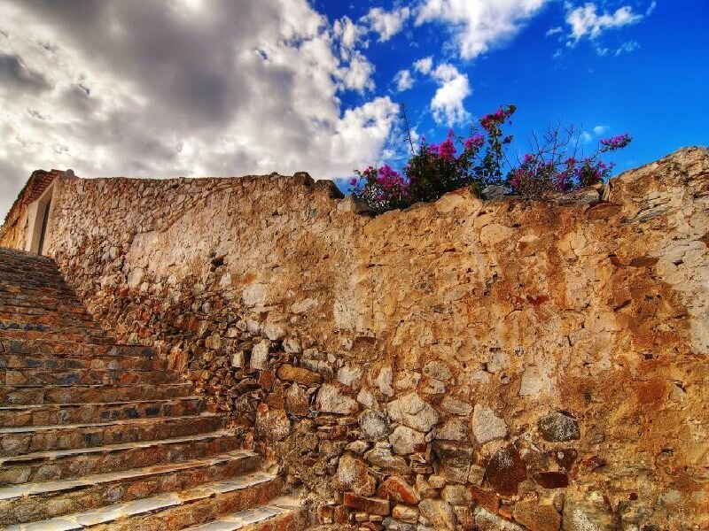 Stone steps and wall with flowers
