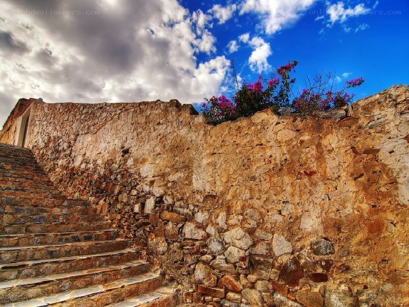 Stone steps and wall with flowers