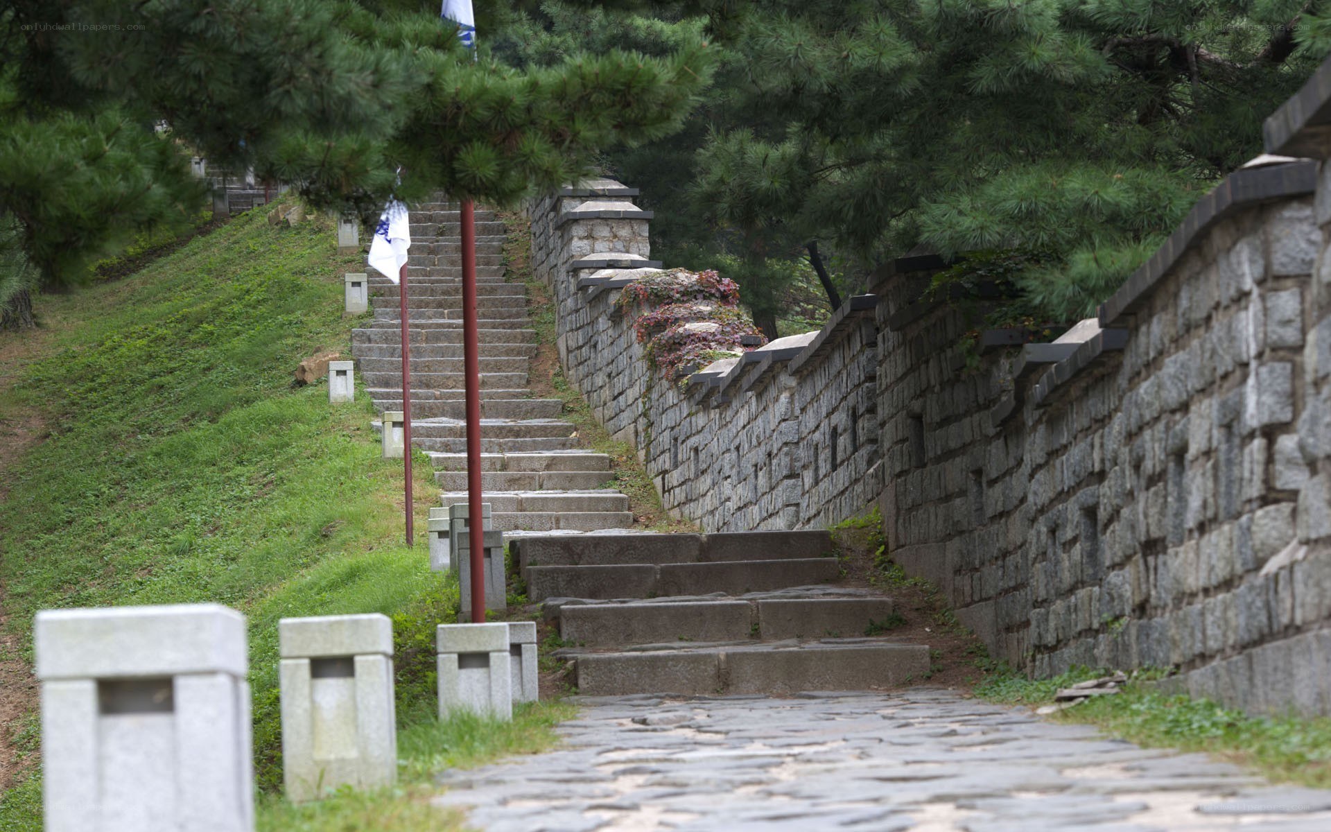 Stone steps at a historic site