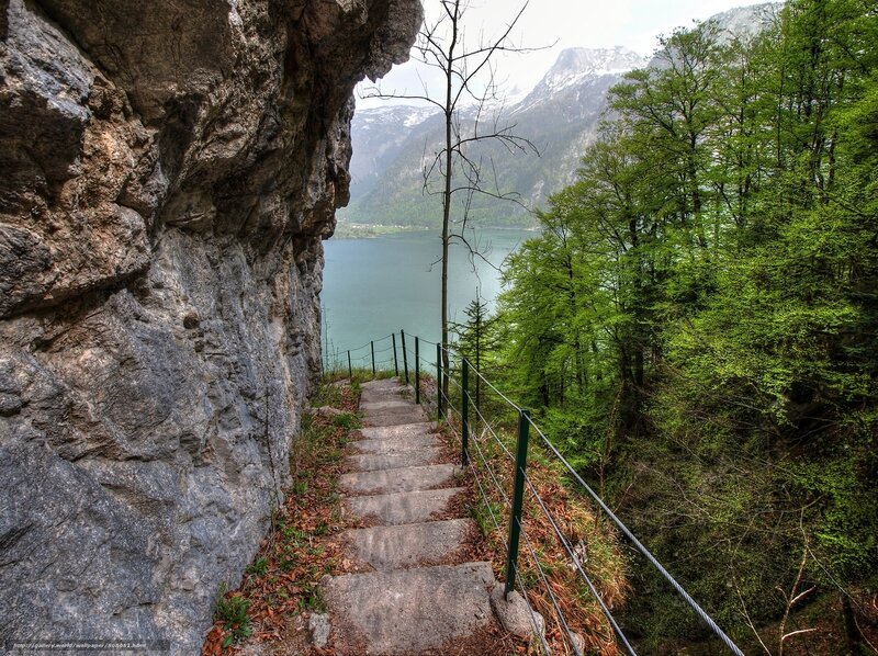 Stone Steps by Lake — Green, Serene