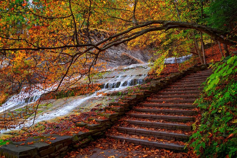 Stone Steps by Waterfall