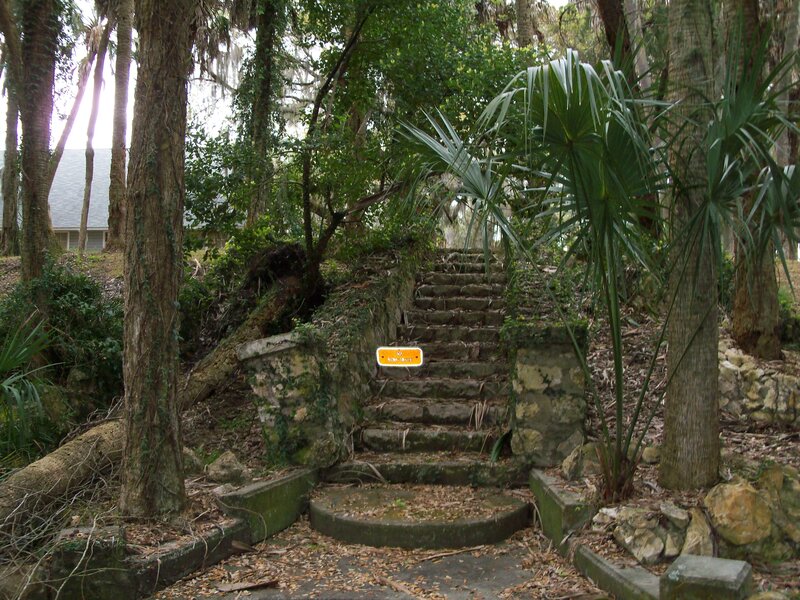 Stone steps in a wooded area