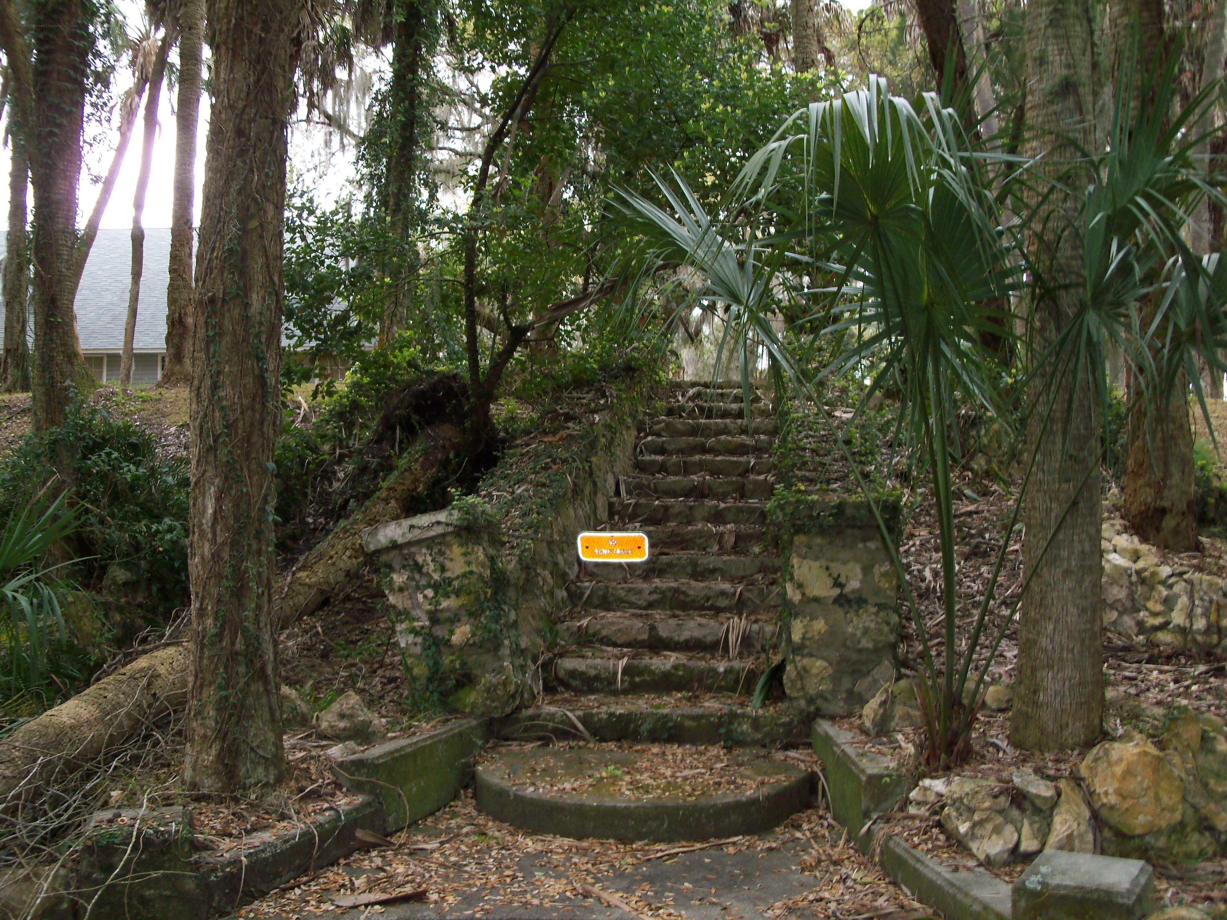 Stone steps in a wooded area