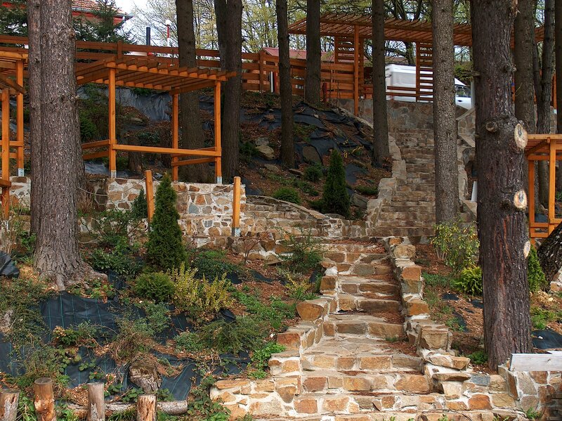 Stone steps in a wooded garden