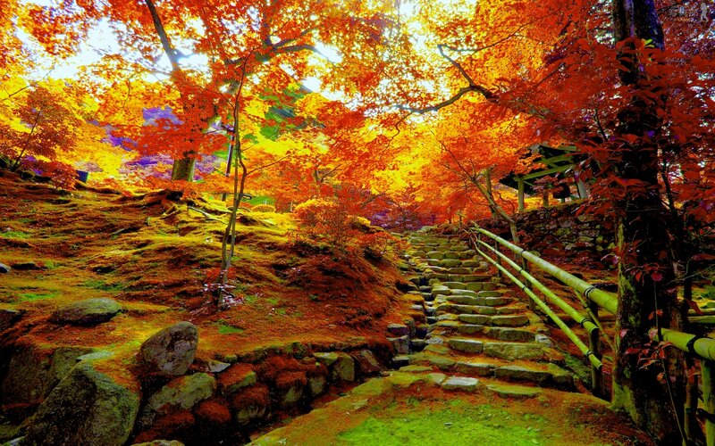 Stone Steps in Autumn Forest — Orange