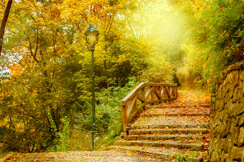 Stone Steps in Autumn