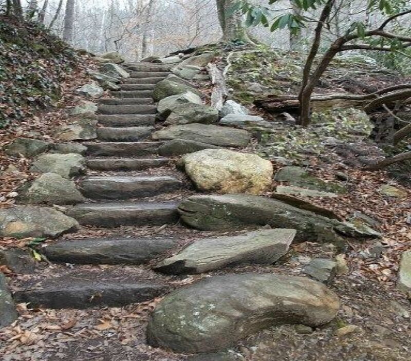 Stone Steps in Forest — Brown, Natural