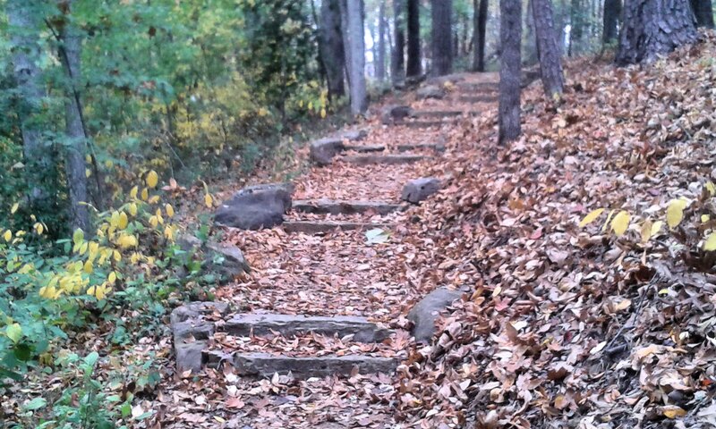 Stone Steps in Forest — Brown