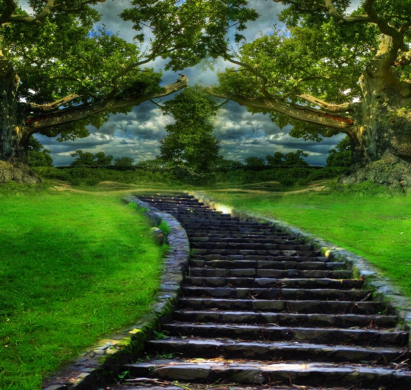 Stone Steps in Forest — Green, Dramatic