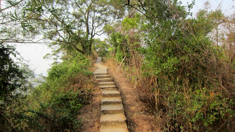 Stone Steps in Forest — Green, Natural, Afternoon