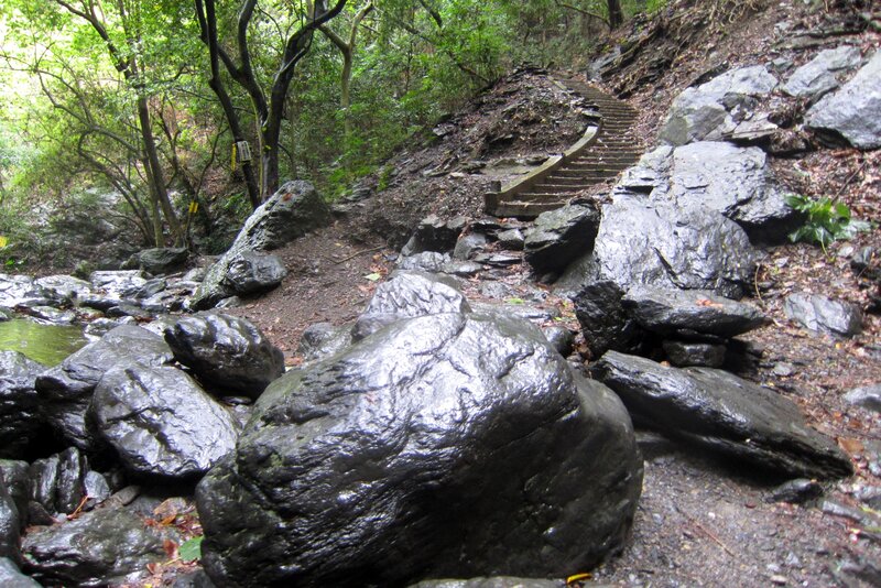 Stone Steps in Forest — Green, Natural