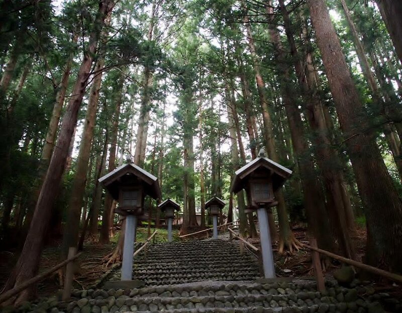 Stone Steps in Forest — Green, Serene, Afternoon, Photograph, Lanterns