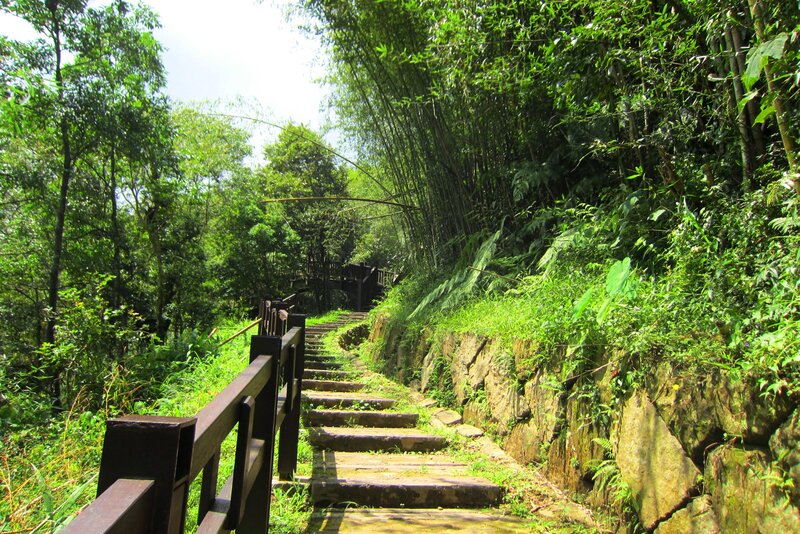Stone Steps in Forest — Green, Serene, Afternoon, Photograph, Wooden Railing